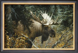 Buy Calm Before the Challenge at AllPosters.com