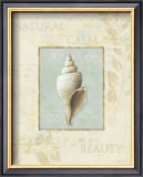 Buy Soothing Words Shells I at AllPosters.com