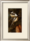 Buy Chickadees at AllPosters.com