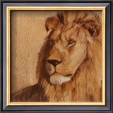 Buy Lion at AllPosters.com