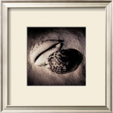 Buy Cowrie at AllPosters.com