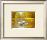 Buy Schwane at AllPosters.com