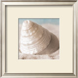Buy Treasures of the Sea IV at AllPosters.com