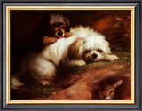 Buy Playful Encounter at AllPosters.com