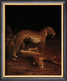 Buy Two Leopards Playing in the Exeter Change Menagerie, c.1808 at AllPosters.com