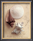Buy Seaside Collection II at AllPosters.com