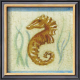 Seahorse