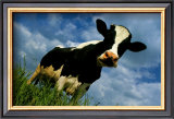 Buy The Cow at AllPosters.com