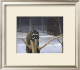 Buy Mischief on a Stump at AllPosters.com