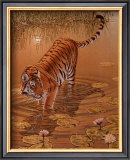 Tiger at the Edge of Night