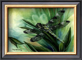 Buy Dragonfly I at AllPosters.com