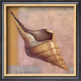 Buy Small Snail at AllPosters.com