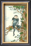 Buy Monkey, Douc at AllPosters.com