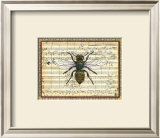 Bumblebee Harmony I