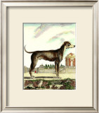Buy Great Dane at AllPosters.com