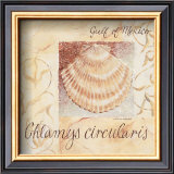 Buy Gulf of Mexico at AllPosters.com