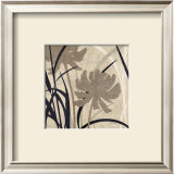 Buy Botanical Elements II at AllPosters.com