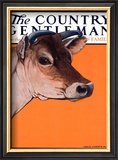 Buy Red Cow, c.1923 at AllPosters.com
