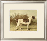 Buy Pointer at AllPosters.com
