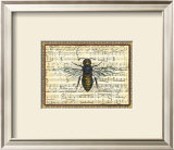 Bumblebee Harmony II