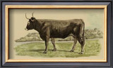 Buy Antique Cow III at AllPosters.com
