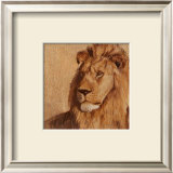 Buy Lion at AllPosters.com