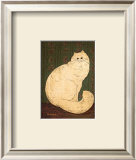 White Persian Cat