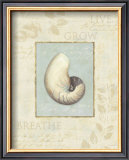 Buy Soothing Words Shells II at AllPosters.com