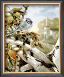 Buy Autumn Shades at AllPosters.com