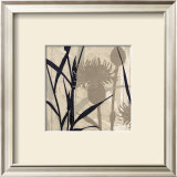 Buy Botanical Elements III at AllPosters.com