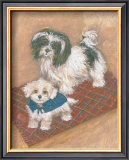Kyo Leo Maltese Framed Art Print