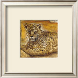 Wild Life II