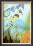 Seahorse Serenade III