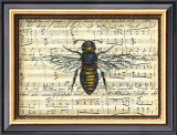 Bumblebee Harmony II