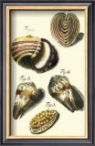 Buy Neptune's Treasure II at AllPosters.com