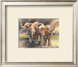 Buy Family of Elephants at AllPosters.com