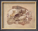 African Odyssey, Lions