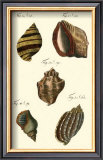 Buy Neptune's Treasure IV at AllPosters.com