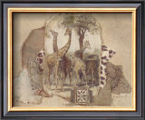 African Odyssey, Giraffes