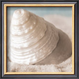 Buy Treasures of the Sea IV at AllPosters.com