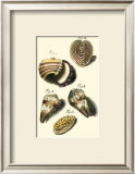 Buy Neptune's Treasure II at AllPosters.com