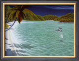 Trunk Bay