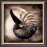 Buy Nautilus at AllPosters.com