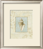 Buy Soothing Words Shells III at AllPosters.com