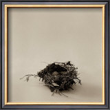 Buy Home on a Stick at AllPosters.com