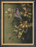 Buy Merle, Bleu at AllPosters.com