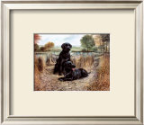 Buy Change of Seasons at AllPosters.com