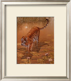 Tiger at the Edge of Night
