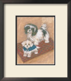 Kyo Leo Maltese Framed Art Print