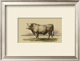 Buy Antique Cow I at AllPosters.com